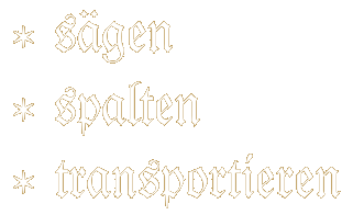 saegen302